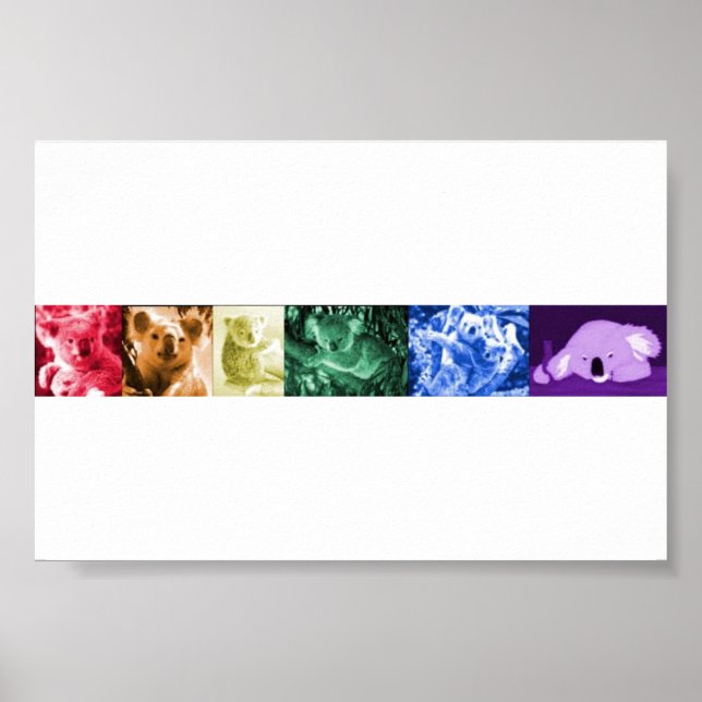 Póster Poster de amor de Koala (Frente)