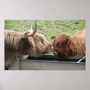 Póster Poster de amor de madre