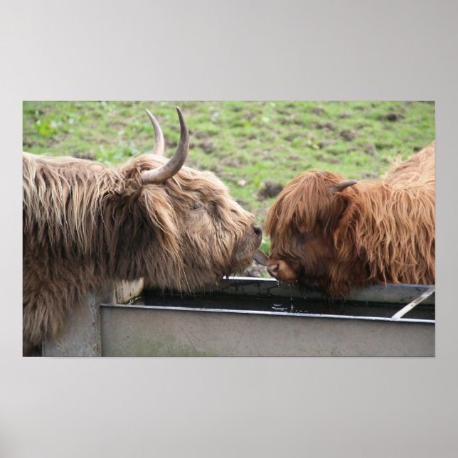 Póster Poster de amor de madre (Frente)