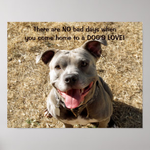 Póster Poster de amor de Pitbull Smiling Dog