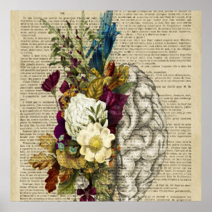 Póster poster de anatomía cerebral floral médica