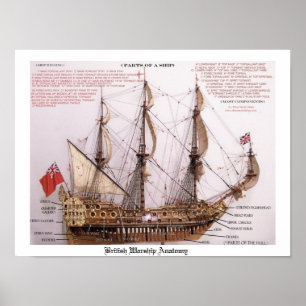 Póster Poster de Anatomía de la Armada Británica
