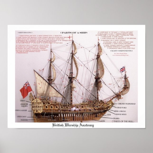Póster Poster de Anatomía de la Armada Británica (Frente)