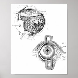 Póster Poster de Anatomía de Ojos