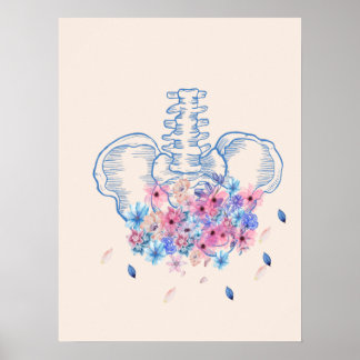 Póster Poster de anatomía de pelvis medico floral