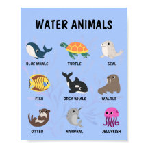 Poster de animales acuáticos