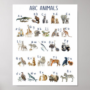 Póster Poster De Animales De Abc De Acuarela
