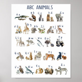 Póster Poster De Animales De Abc De Acuarela