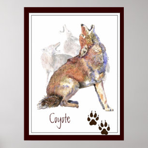 Póster Poster de animales de acuarela original de Coyote