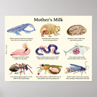 Póster Poster de animales de la leche materna