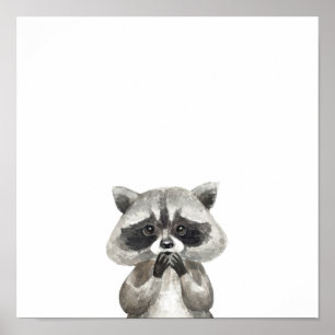Póster Poster de animales de racoon dulce animal