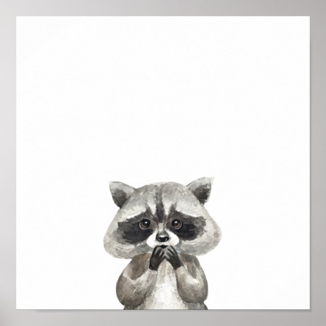 Póster Poster de animales de racoon dulce animal (Frente)