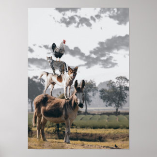 Póster Poster de animales de Silly