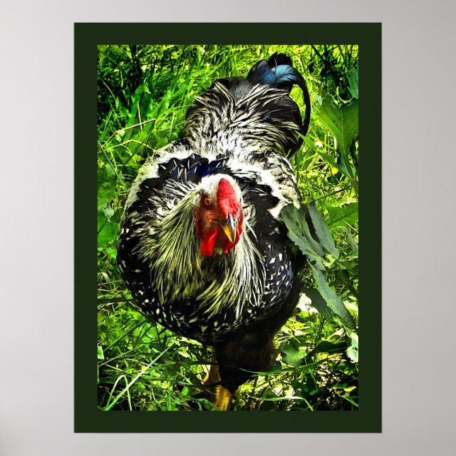 Póster Poster de animales verdes con galán de plata Wyand (Frente)