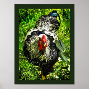 Póster Poster de animales verdes con gallo de plata