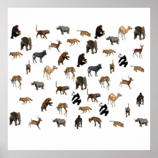 Póster Poster de animales zoológicos