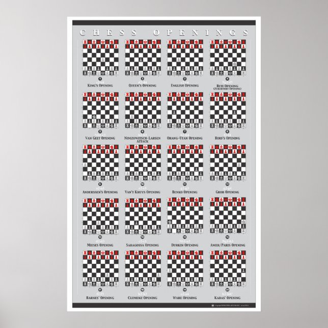 Póster Poster de apertura (Frente)