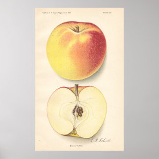 Póster Poster de Apple de Banana Vintage