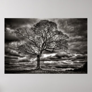 Póster Poster de árbol atemporal en blanco y negro