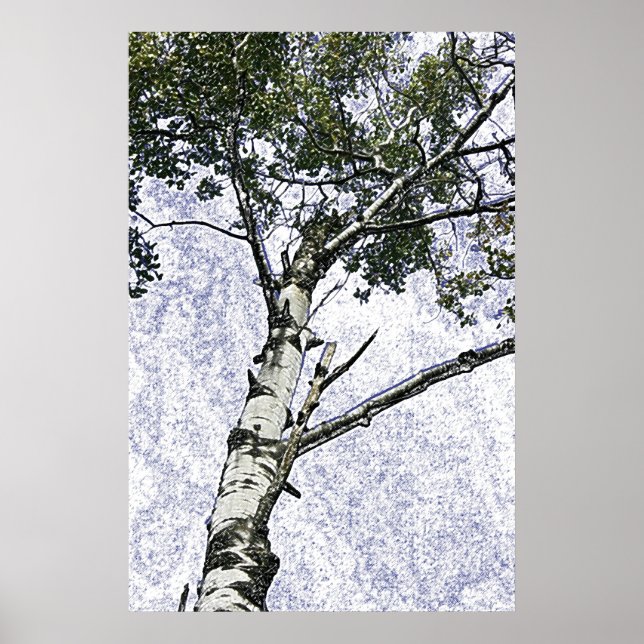 Póster Poster de árbol de birch (Frente)