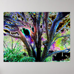 Póster Poster de árbol de hadas