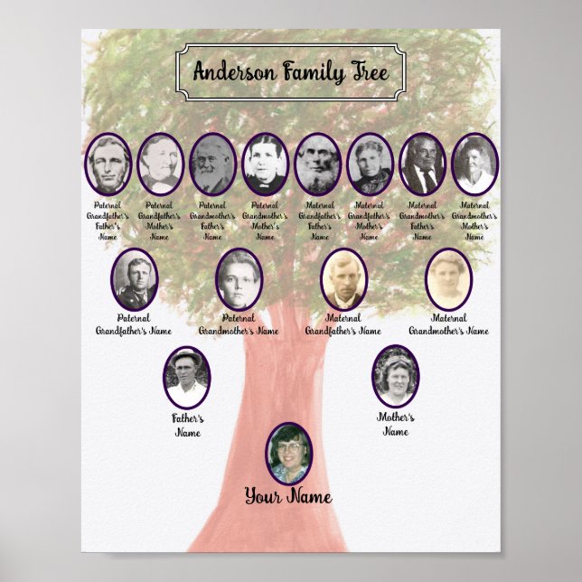Póster Poster de árbol de la familia de hojas verdes de c (Frente)