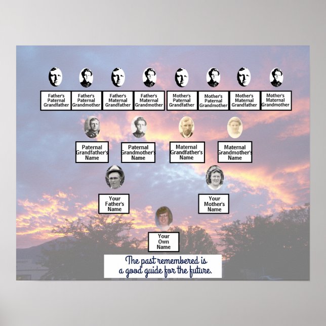 Póster Poster de árbol de la familia fotográfica transpar (Frente)