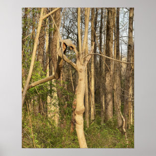 Póster Poster de árbol de tipo manual