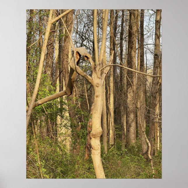 Póster Poster de árbol de tipo manual (Frente)