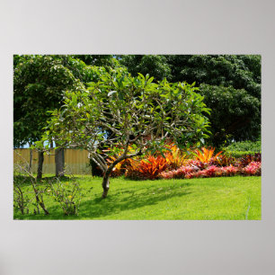 Póster Poster de árbol escénico