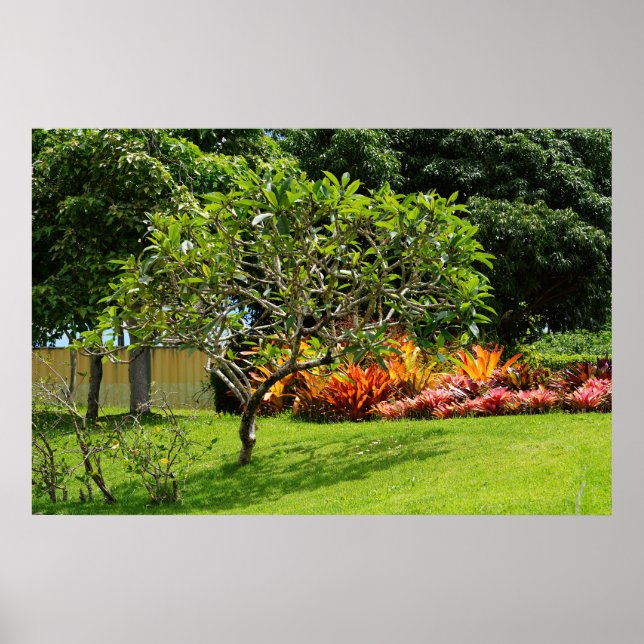 Póster Poster de árbol escénico (Frente)