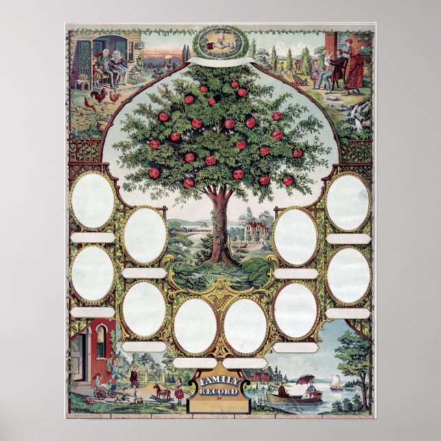 Póster Poster de árbol familiar (Frente)