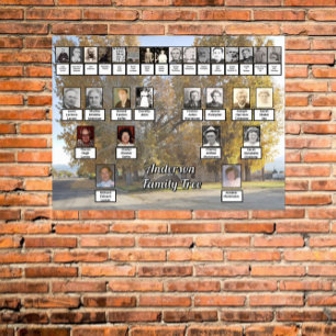 Póster Poster de árbol familiar de cuatro generaciones de