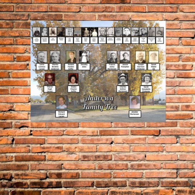 Póster Poster de árbol familiar de cuatro generaciones de (Subido por el creador)