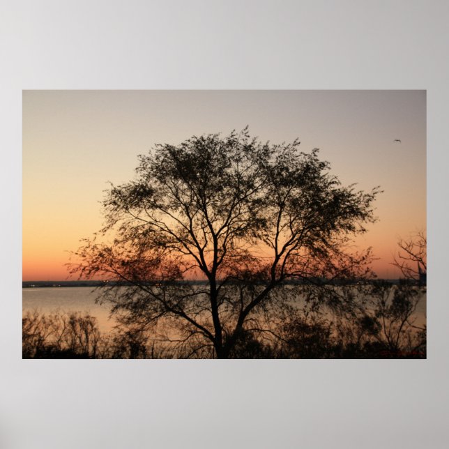 Póster Poster de árbol grande (Frente)