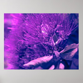 Póster Poster de árbol púrpura de Pohutukawa