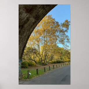 Póster Poster de árboles amarillos otoñales