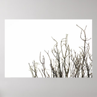 Póster poster de árboles de otoño