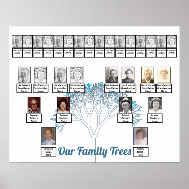 Póster Poster de Árboles familiares de flores azules de a (Frente)