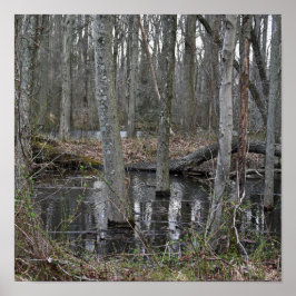 Póster Poster de árboles inundados