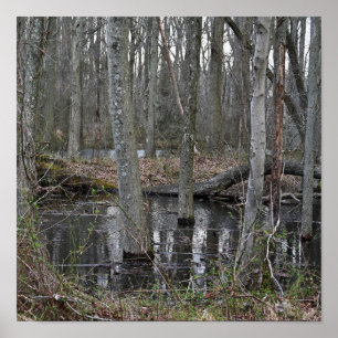 Póster Poster de árboles inundados