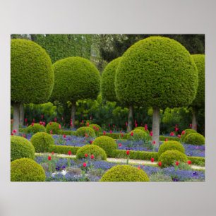 Póster Poster de árboles redondos