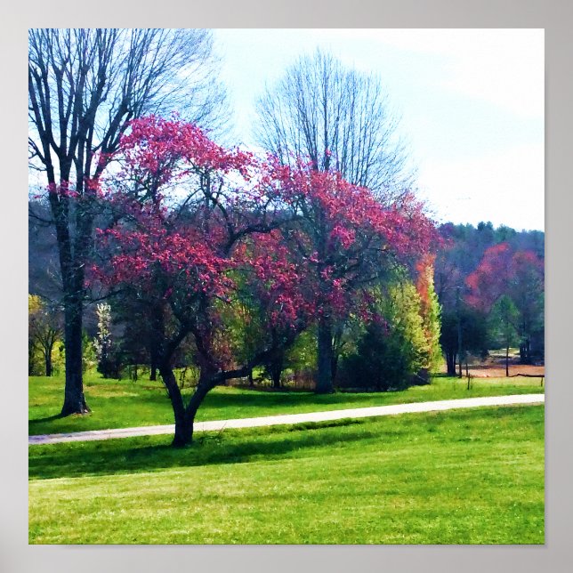 Póster Poster de arce de flores rojas (Frente)