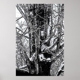 Póster Poster de arce de nieve El MUSEO Zazzle Regalos