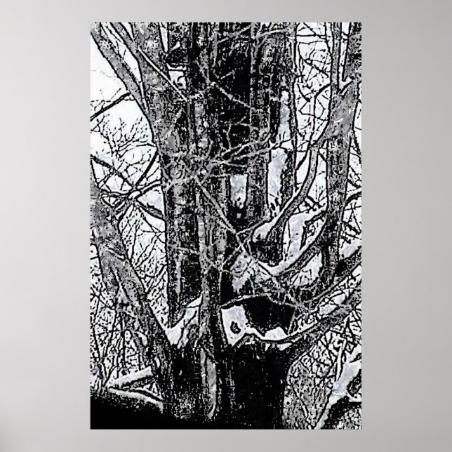 Póster Poster de arce de nieve El MUSEO Zazzle Regalos (Frente)