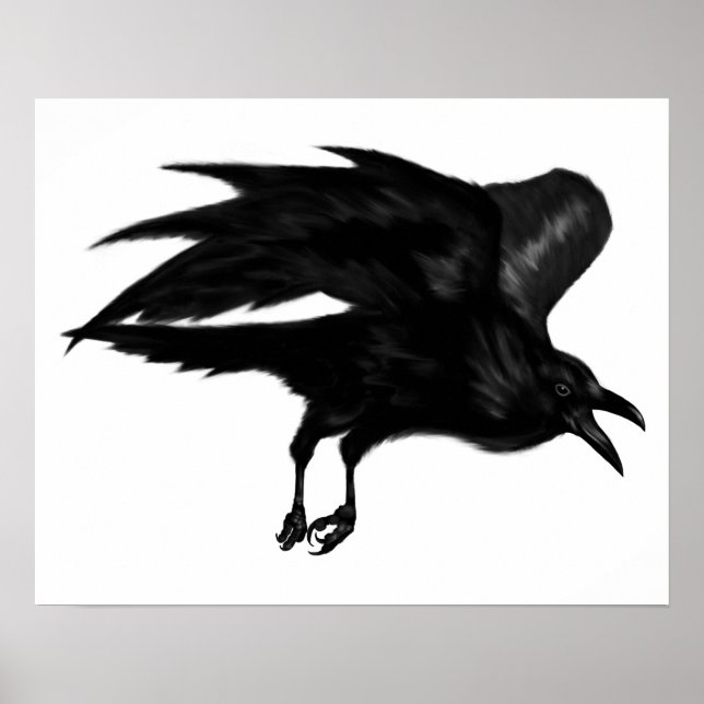 Póster Poster de archivos de Flying Raven (Frente)