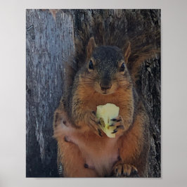 Póster Poster de ardilla