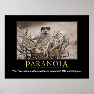 Póster Poster de ardilla desmotivacional: paranoia