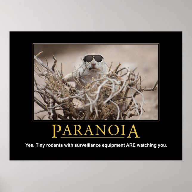 Póster Poster de ardilla desmotivacional: paranoia (Frente)