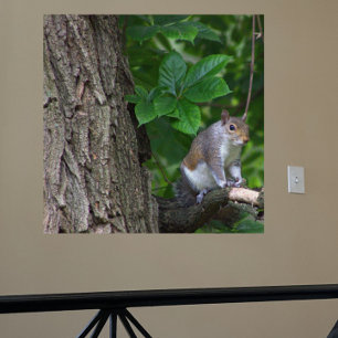 Póster Poster de ardilla en árbol